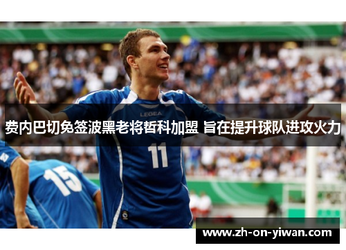 费内巴切免签波黑老将哲科加盟 旨在提升球队进攻火力