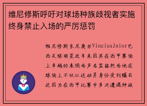 维尼修斯呼吁对球场种族歧视者实施终身禁止入场的严厉惩罚